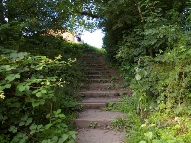 Field Lane Steps