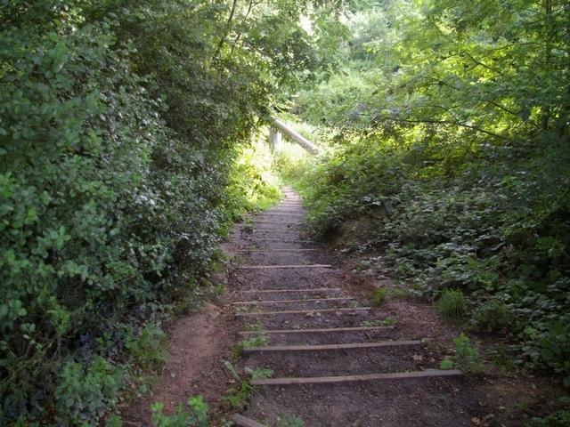Field Lane Steps