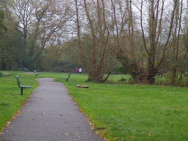 Some of the Benches.
