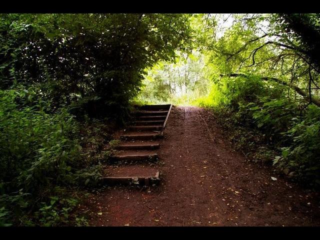 Covert Steps